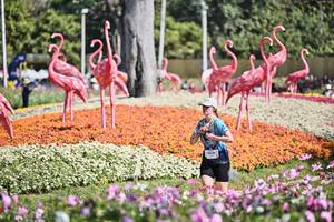 BIB: 
                            <button type="button" onclick="openModal(27793681)" class="btn btn-primary btn-sm float-right btn-popup" data-toggle="modal" data-target=".modal-high-quality">
                        <i class="fas fa-shopping-cart"></i> Add to Cart
                    </button>
                                            <button type="button" onclick="isThisMe(27793681, true)" class="btn btn-success btn-sm float-right btn-popup btn-isme hidden" data-toggle="tooltip" data-placement="bottom" title="นี่คือรูปของคุณใช่ไหม คลิกที่นี่เพื่อเอาเข้าอัลบั้ม">
                        <i class="fas fa-plus"></i> Add to album
                    </button>
                    <button type="button" onclick="isThisMe(27793681, false)" class="btn btn-warning btn-sm float-right btn-popup btn-isnotme hidden">
                        <i class="fas fa-ban"></i> Remove from album
                    </button>